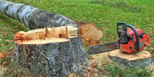 Vashon, WA Tree Removal Company