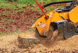 Lawn Watering Services in Vashon, WA